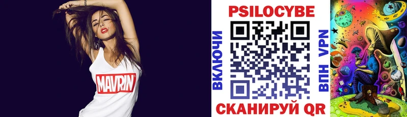 Галлюциногенные грибы MAGIC MUSHROOMS  сколько стоит  Казань 