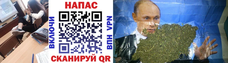 купить   Казань  Шишки марихуана план 